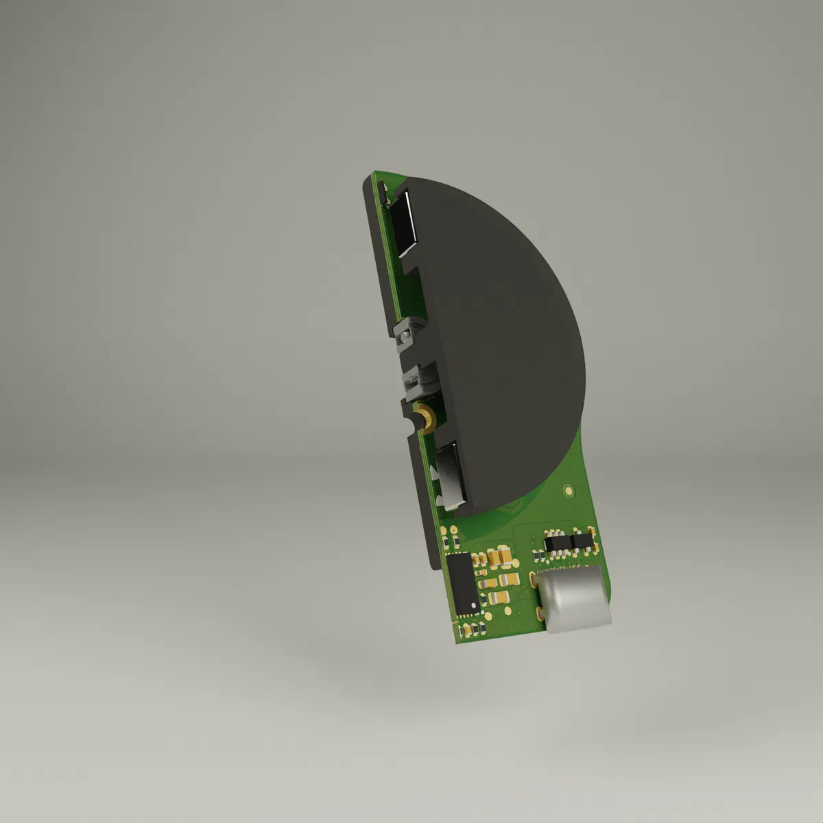 Section render of the stator, bearing holder and rotor